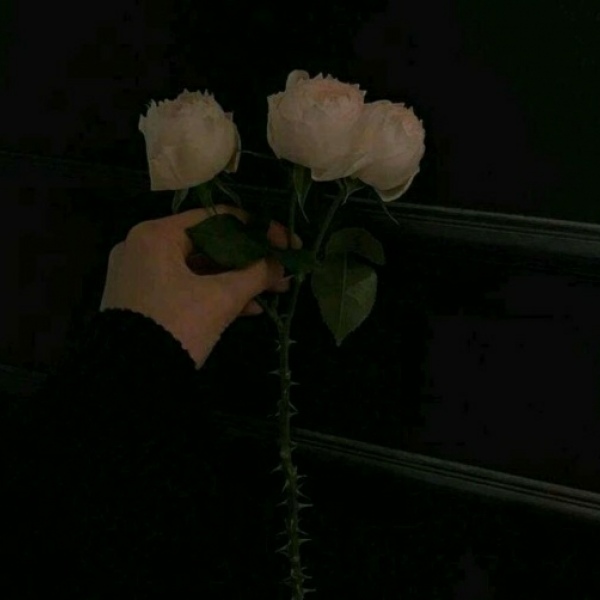 “你不是归路，我却义无反顾。”