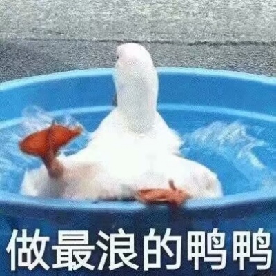 恬恬/私藏沙雕表情包/破千粉辽感谢粉丝陪伴♡