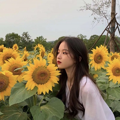 今天憨憨又来了    ✘优质女头✘              这些头像你们一定会喜欢的