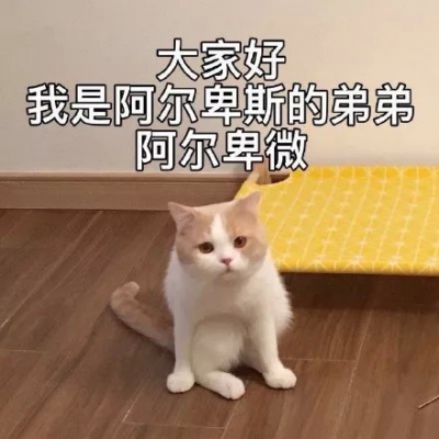 卑微表情包丨小委屈，我能忍