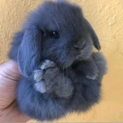 呐呐呐可爱的你～