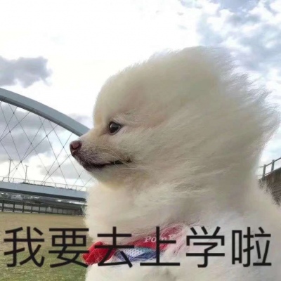 我要退学！！/表情包