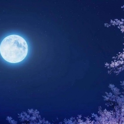 这里来推荐几款超仙的壁纸(๑>؂<๑）