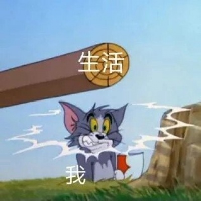 网红猫和老鼠表情包