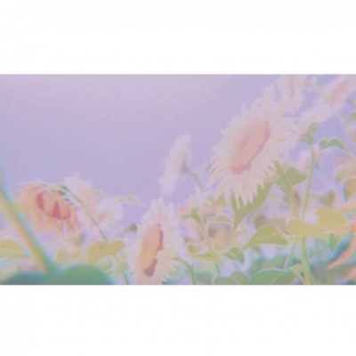 治愈系动漫背景图：把喜欢碾碎了，藏在对你讲的所有废话里