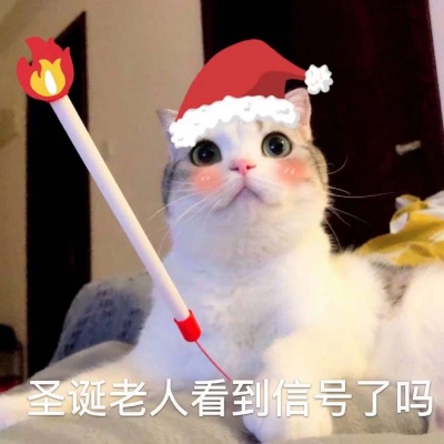 至爱/请签收你的圣诞节礼物