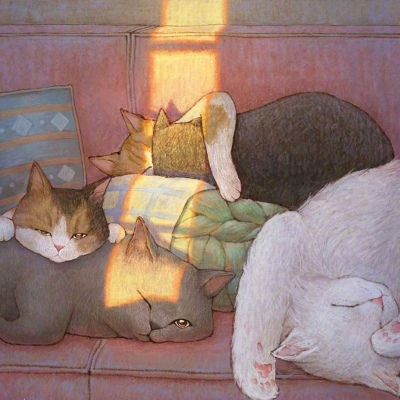 温馨插画分享/猫咪的世界/limduey ​​​