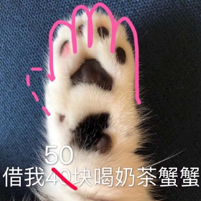 要奶茶钱的表情包?