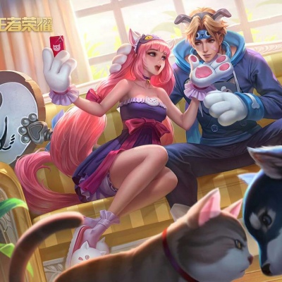 王者荣耀/女英雄/我真的尽力了