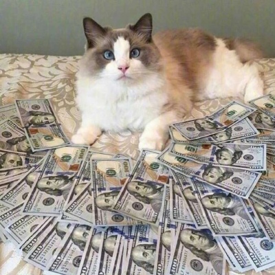 芯儿    点赞未来几天你会获得一笔意外财富