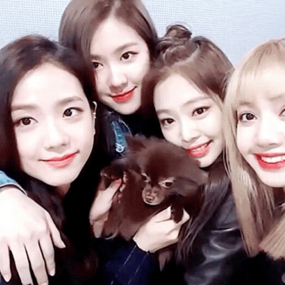 blackpink❤心之所向