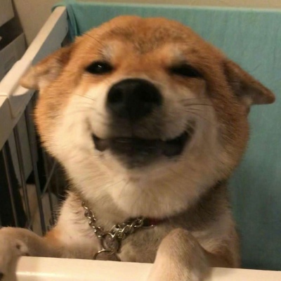 请签收今日份开心