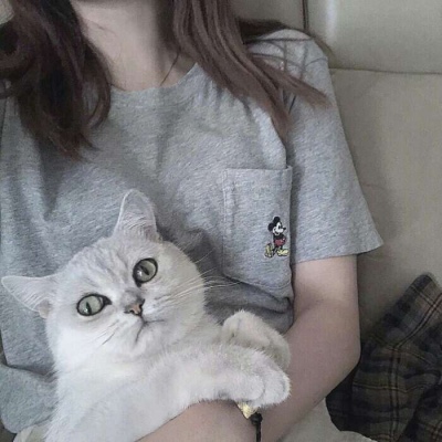 苏云安：汇报一下 今天我也喜欢你哦！