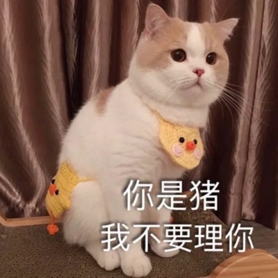 林一笑 可爱小动物表情包鸭