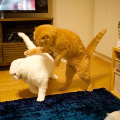 团头/打是亲骂是爱  受我九阴白骨爪吧 哈哈