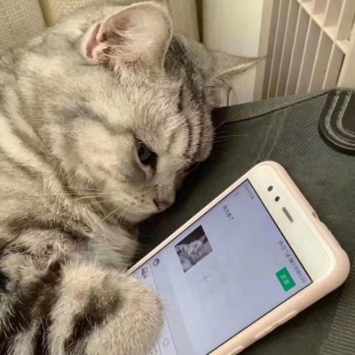 安木由:你怎么总是不回我消息…