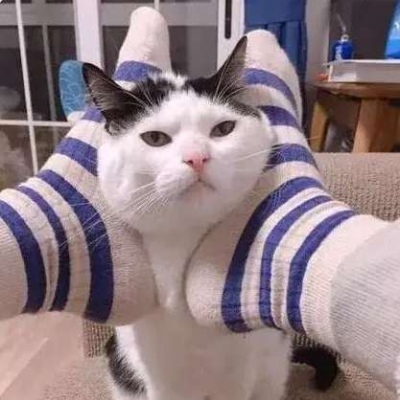 请你好好被爱  梦里花会开/茶儿