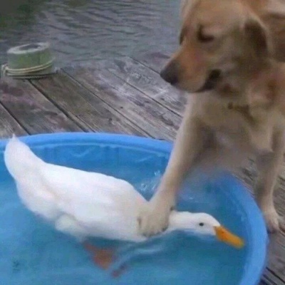 #沙雕情头#安排上…