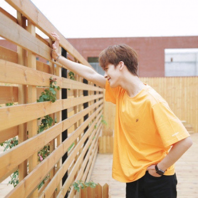 诺你一洛——何洛洛