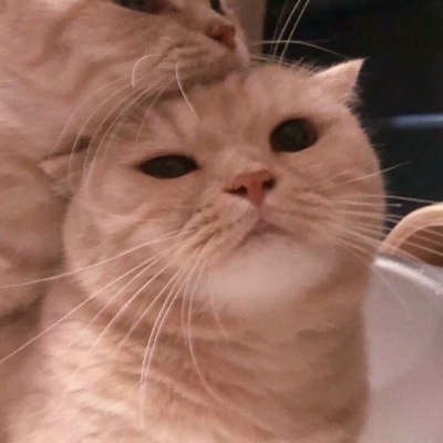 我希望你兜兜转转回过头说我还是忘不掉你.