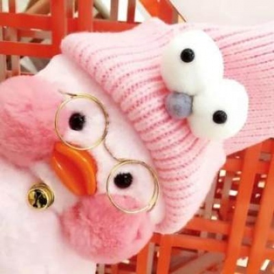 沈曦：可爱一对两张网红鸭玩偶情头