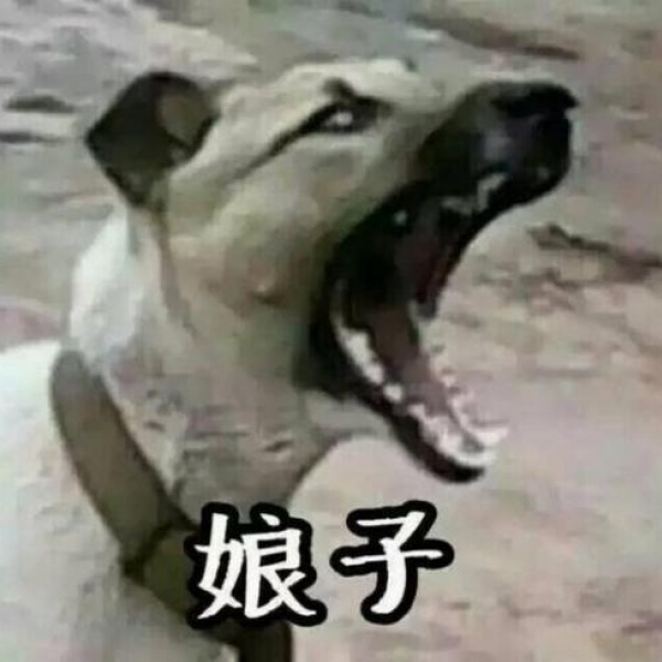 沙雕情头.