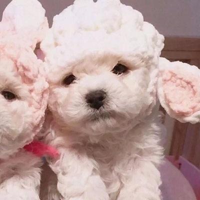 情侣头像 在未来等你