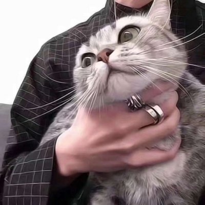男生头像，部位，猫控♡