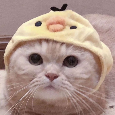 可爱的小猫情侣头像#你知道我为什么单身那么久吗？因为一直没有遇见你。
