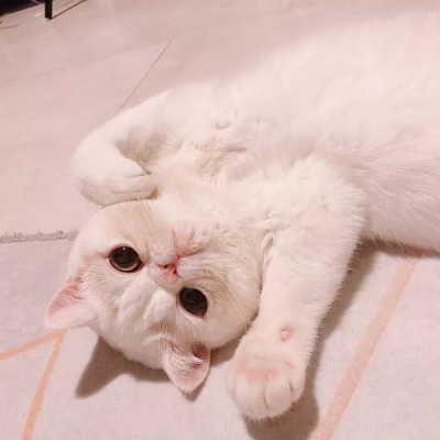 情头/祝你快乐 不止圣诞