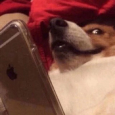 安琪拉：别人手机里的你