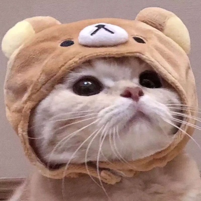 可爱猫咪情侣头像