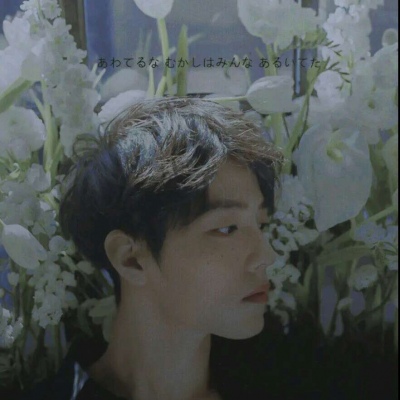 陈情令情头（忘羡）