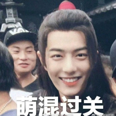 鹿昔    可爱肖战表情包