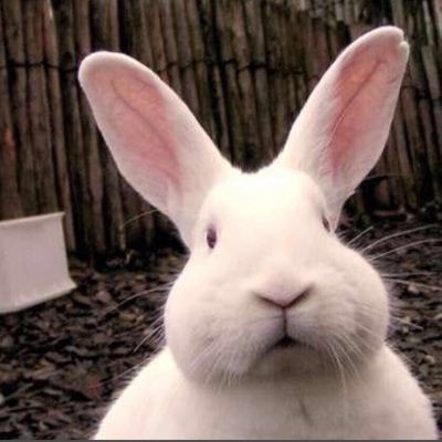 甜词  搞笑的沙雕情头