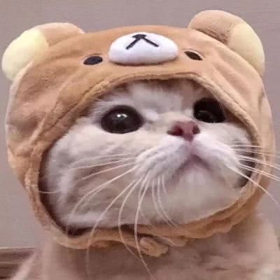 想要跟猫一样，被你抱入怀里