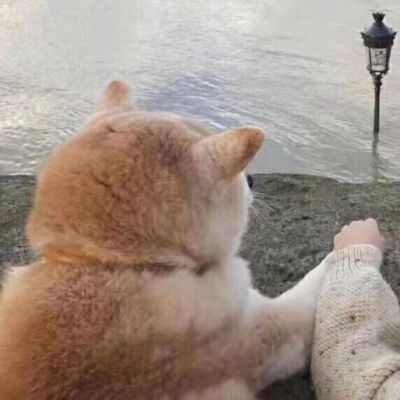 没有真正的直男，取决于他爱不爱你“优质情头”