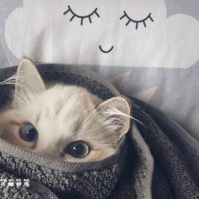 情侣头像想握住此生辽阔 赠你满天星火