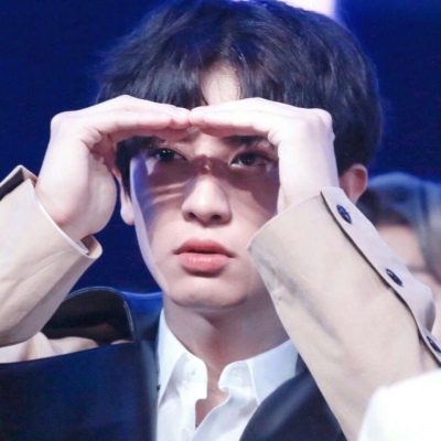 优质偶像/朴灿烈