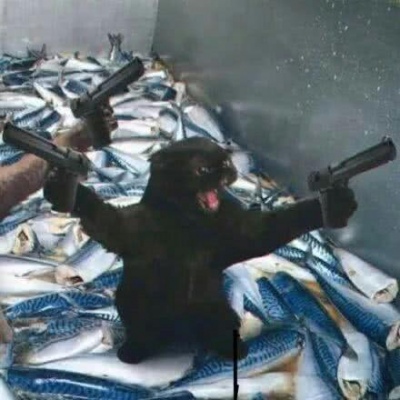 沙猫咪情侣头像