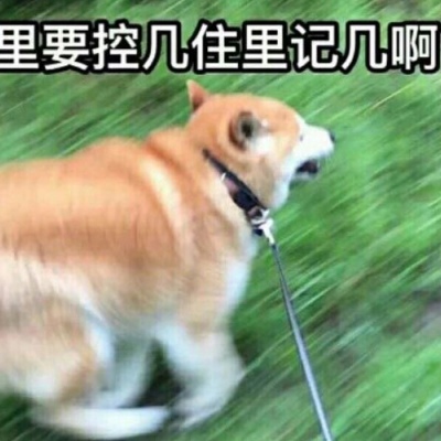 林透/沙雕情头/你get了没