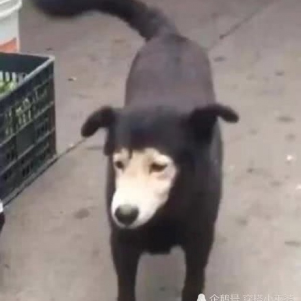 酒仙♀️沙雕情头/对你都是满满的爱吖❤