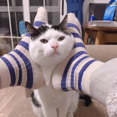 个性情头 心有不甘，却无以为继