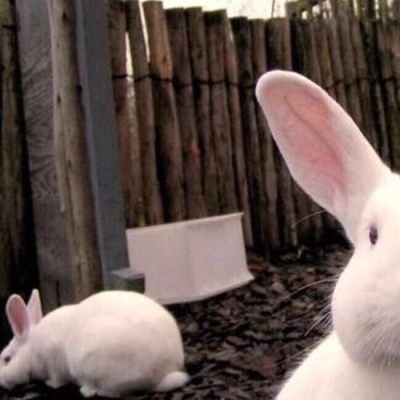 君子于役不问归期❤等你平安归来