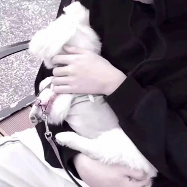 女友不是人系列情头/善良 勇敢 优秀祝你 也祝我.