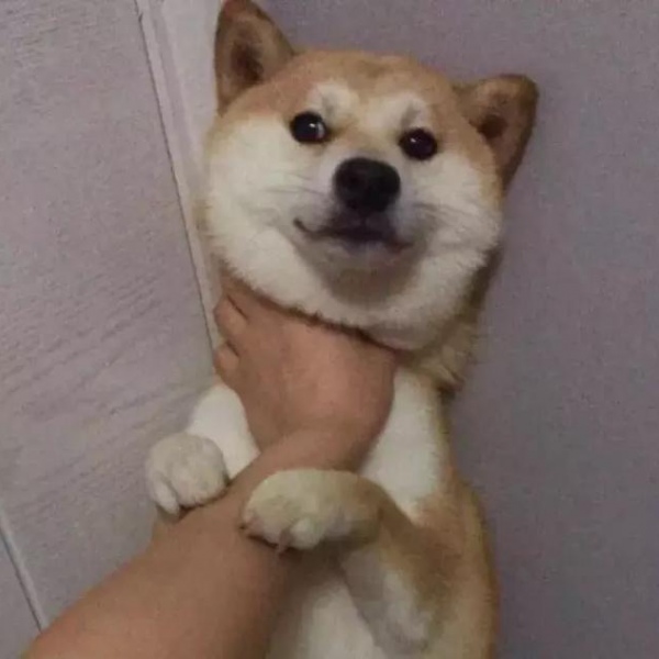 云梓  可爱の情头