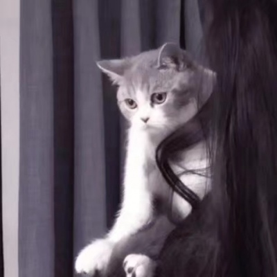 林一笑/对象不是人系列情头✨