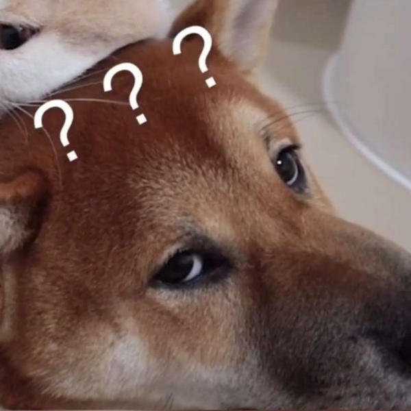 林林/自截 超级卡哇伊的猫狗情头