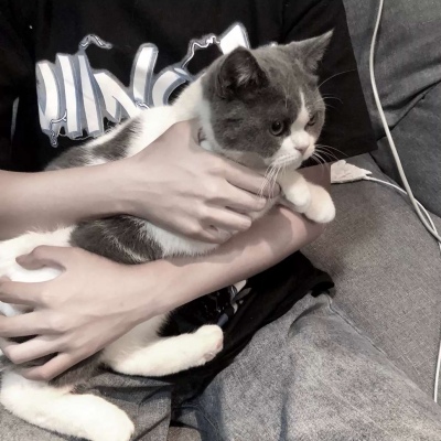 抱猫男头/部位/兄弟/这满天星辰的光辉也抵不过你的一眼凝眸.