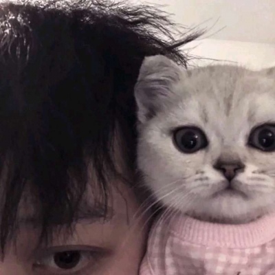 奶猫/我本是杀手，清醒向左不向右/